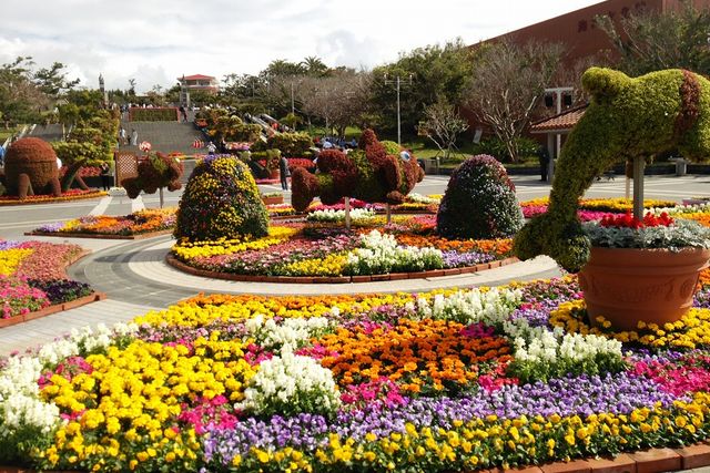 「美麗海花卉祭」以花朵打造海洋生物，繽紛點綴海洋博公園