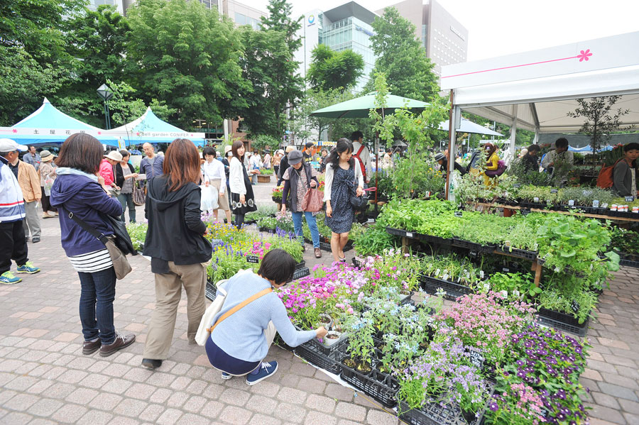 花Festa札幌