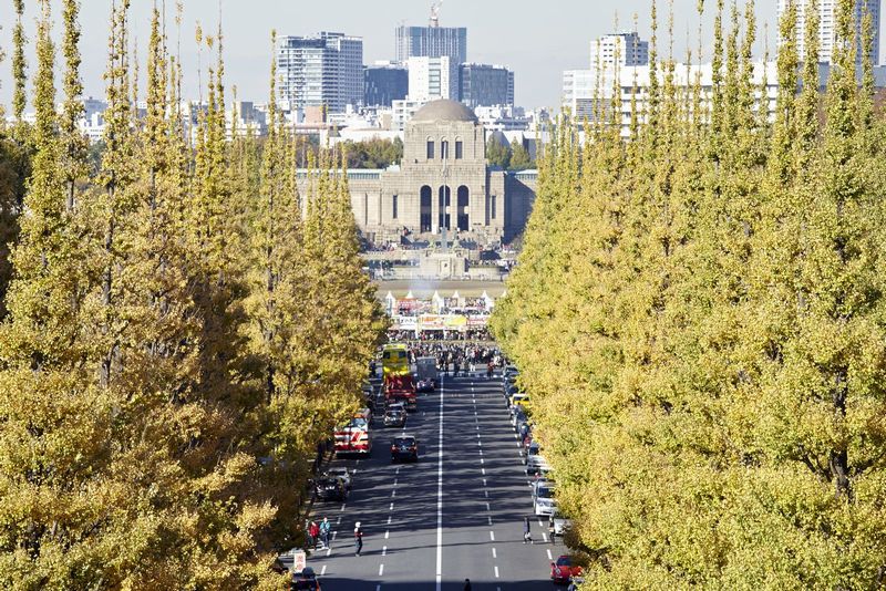 前來明治神宮外苑感受日本秋季之美！