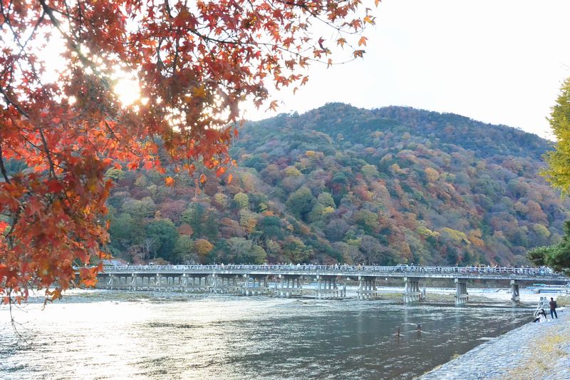 代表京都的賞楓名勝「嵐山」