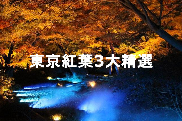 東京紅葉3大精選