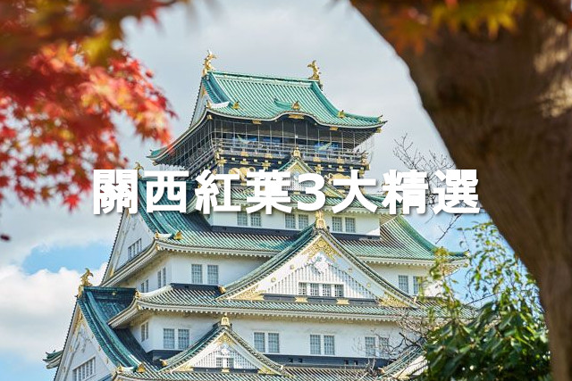 關西紅葉3大精選，朝聖知名的人氣賞楓地