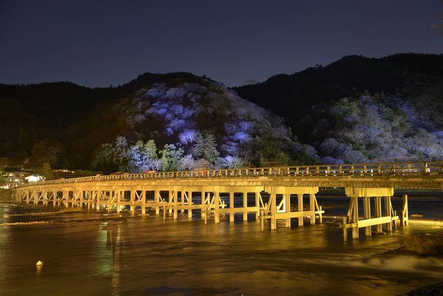 置身「京都・嵐山花燈路」，盡享京都冬季風情！