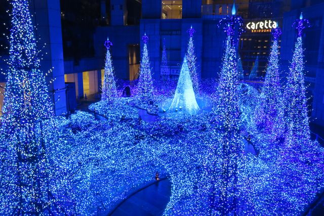 Caretta Illumination