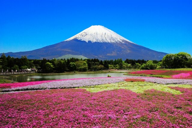 日本世界文化遺產交通大探索--富士山