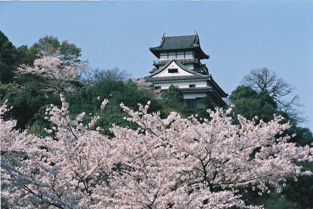 日本名城巡禮　犬山城交通指南