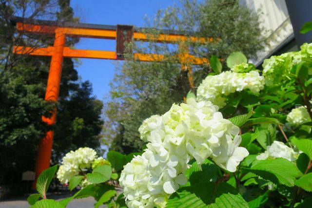 冰川神社交通攻略：戀愛神社特輯