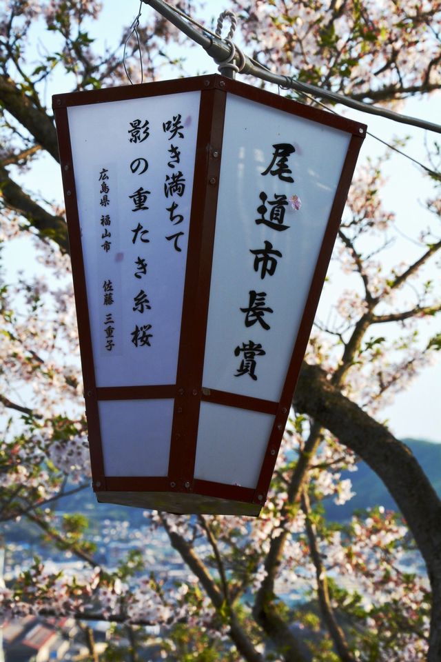 歌詠春天吧！「第12屆尾道俳句祭」登場！