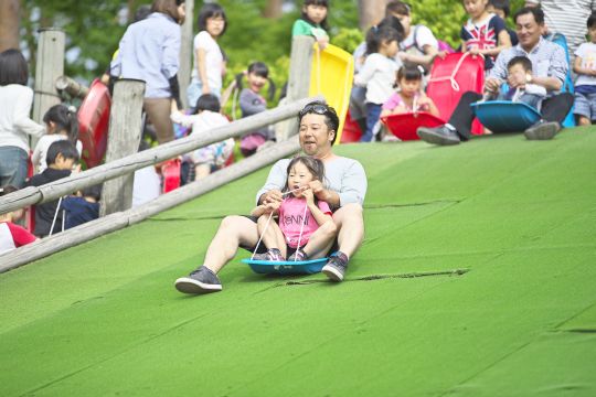 鳥取大山森之國交通指南，親子郊遊推薦