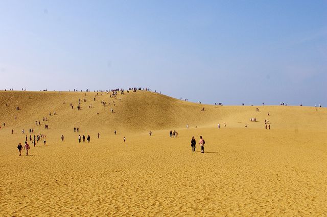 鳥取地區交通優惠券整理！