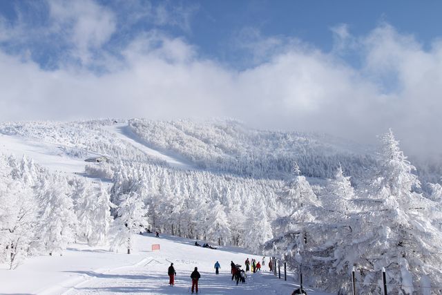 日本滑雪場交通特輯 東北篇 山形 福島 Tabirai Japan