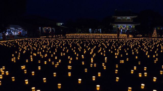 茨城縣潮來市夏季風物詩！欣賞潮音寺的夢幻「萬燈會」