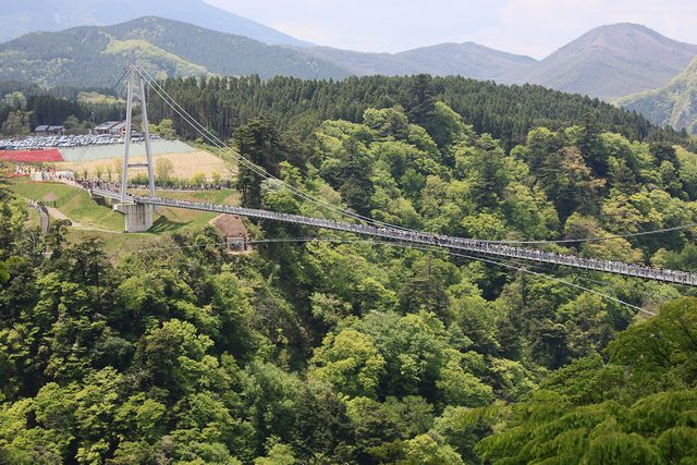 探索日本最高吊橋！九重夢大吊橋交通指南