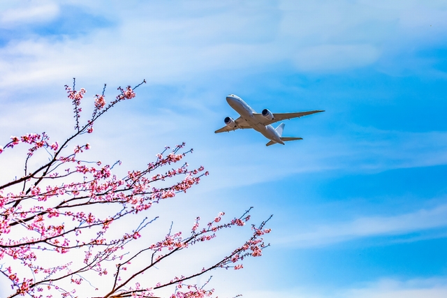 沖繩自由行搭廉航不後悔！廉價航空航班比較 、省錢要訣、出入境