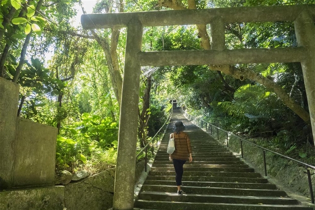 不只玩海中道路！沖繩中部宇流麻市・沖繩市自駕行程，東海岸景點