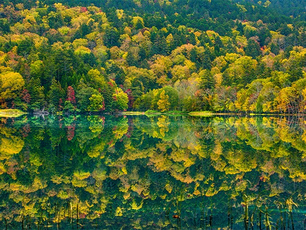 北海道絕景10選，美到令人屏息！