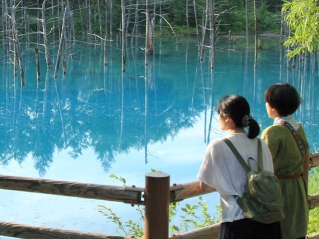 前往美瑛！朝聖北海道四季自然絕美景緻