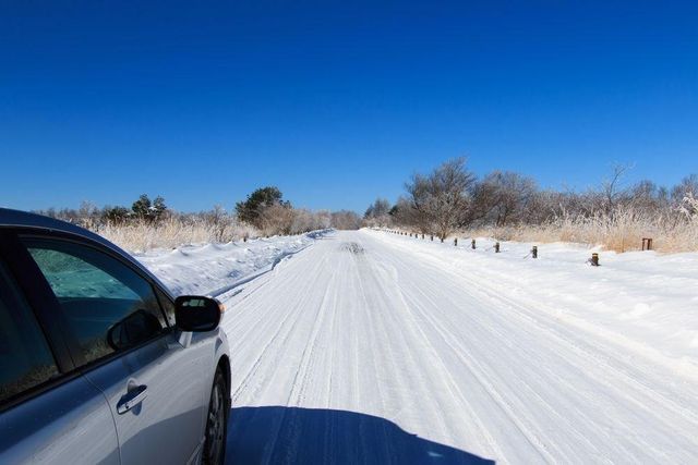 北海道冬季雪地自駕完整攻略，遊遍日本最美雪景！