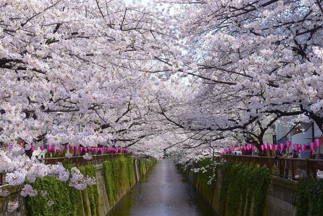 3月、4月連假就這樣玩日本！攻略一次報你知