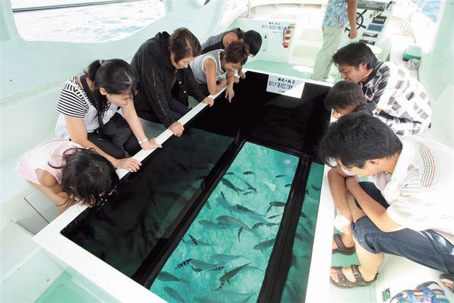 自駕租車遊部瀨名海中公園，不用下水也可以一覽海中世界